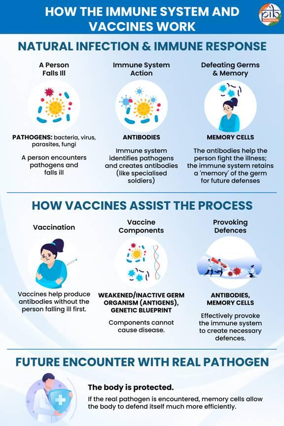 Diseases, Vaccines, and Immunity