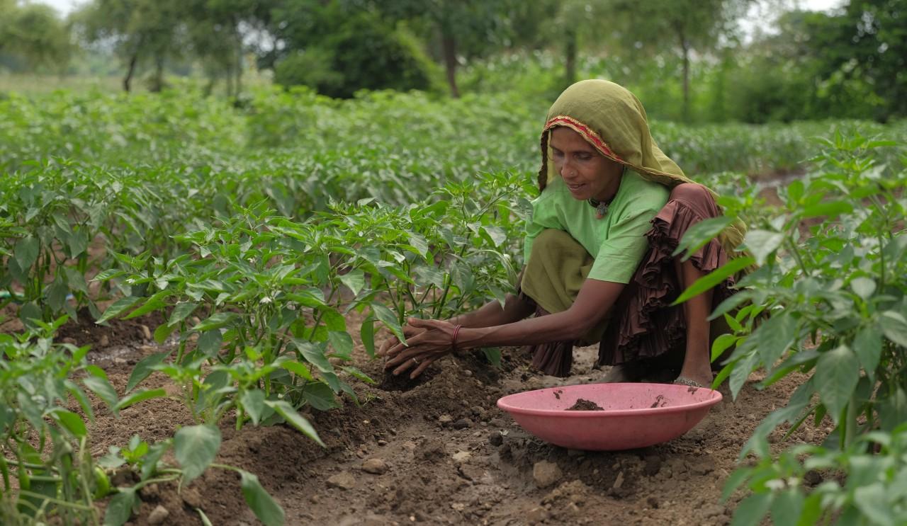 Climate Change and Food Security: Scientific Solutions for a Growing Population